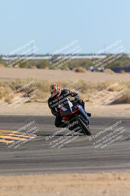 media/Feb-04-2024-SoCal Trackdays (Sun) [[91d6515b1d]]/10-Turn 16 (145pm)/